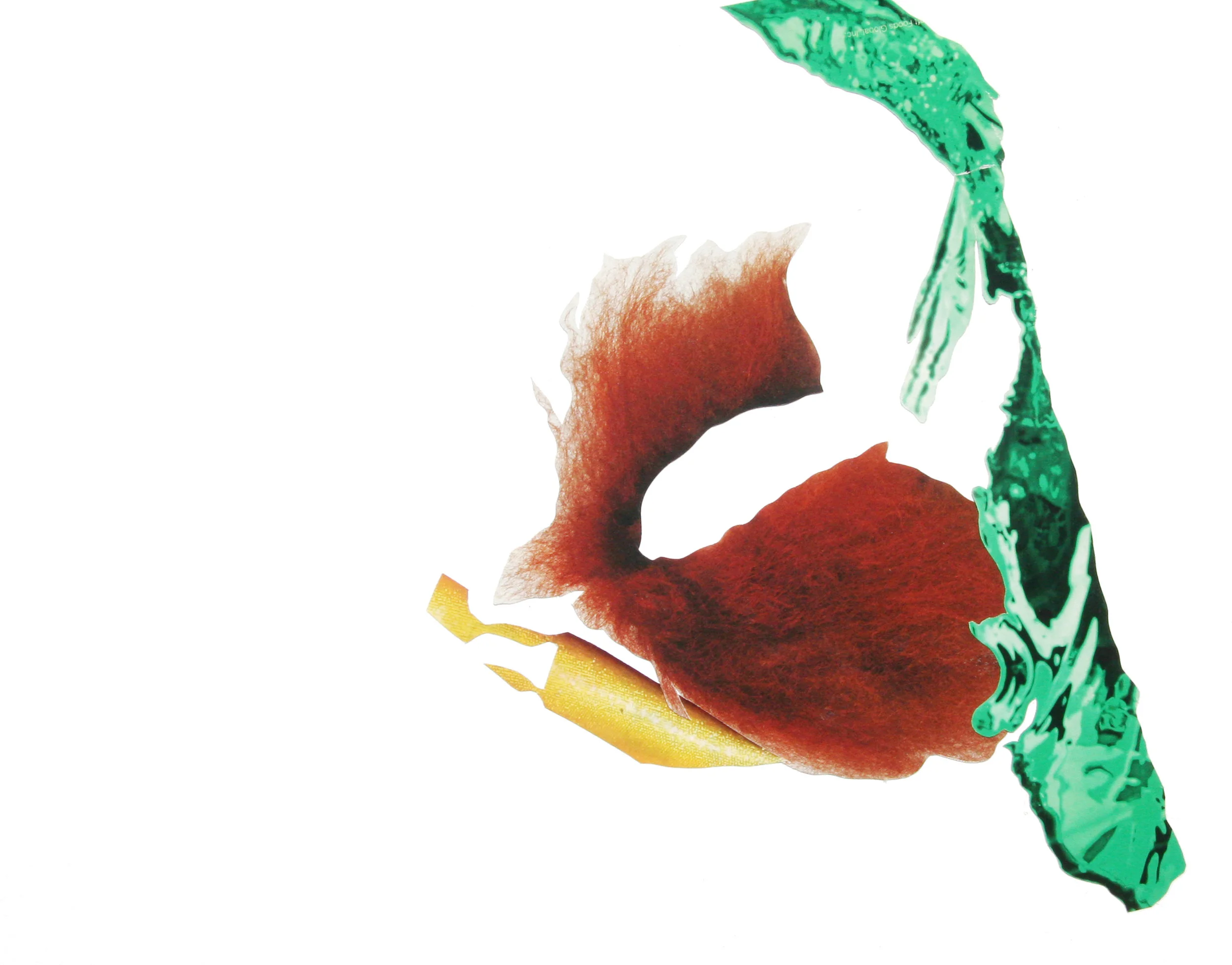 Collage_3.jpg
