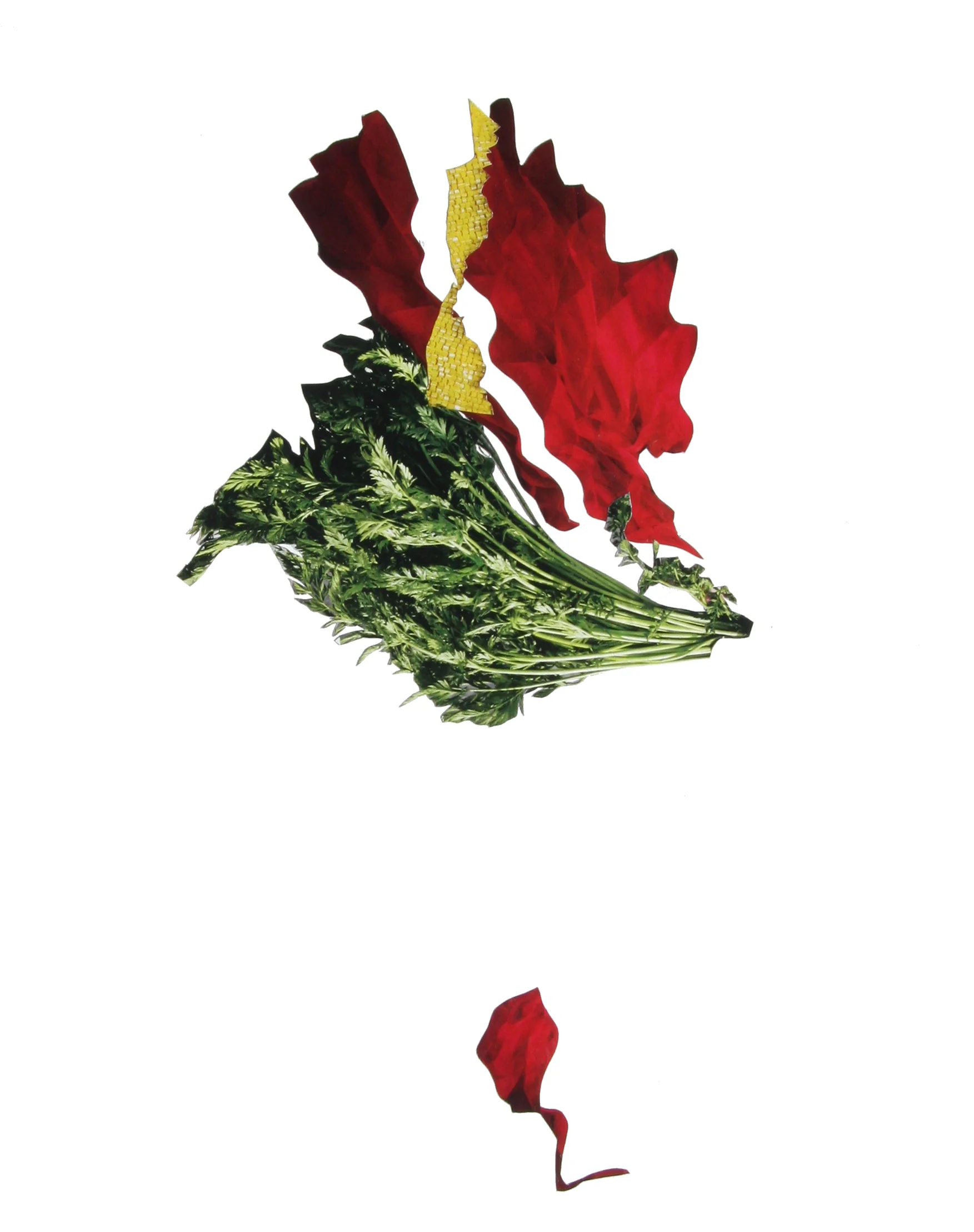 Collage_6.jpg