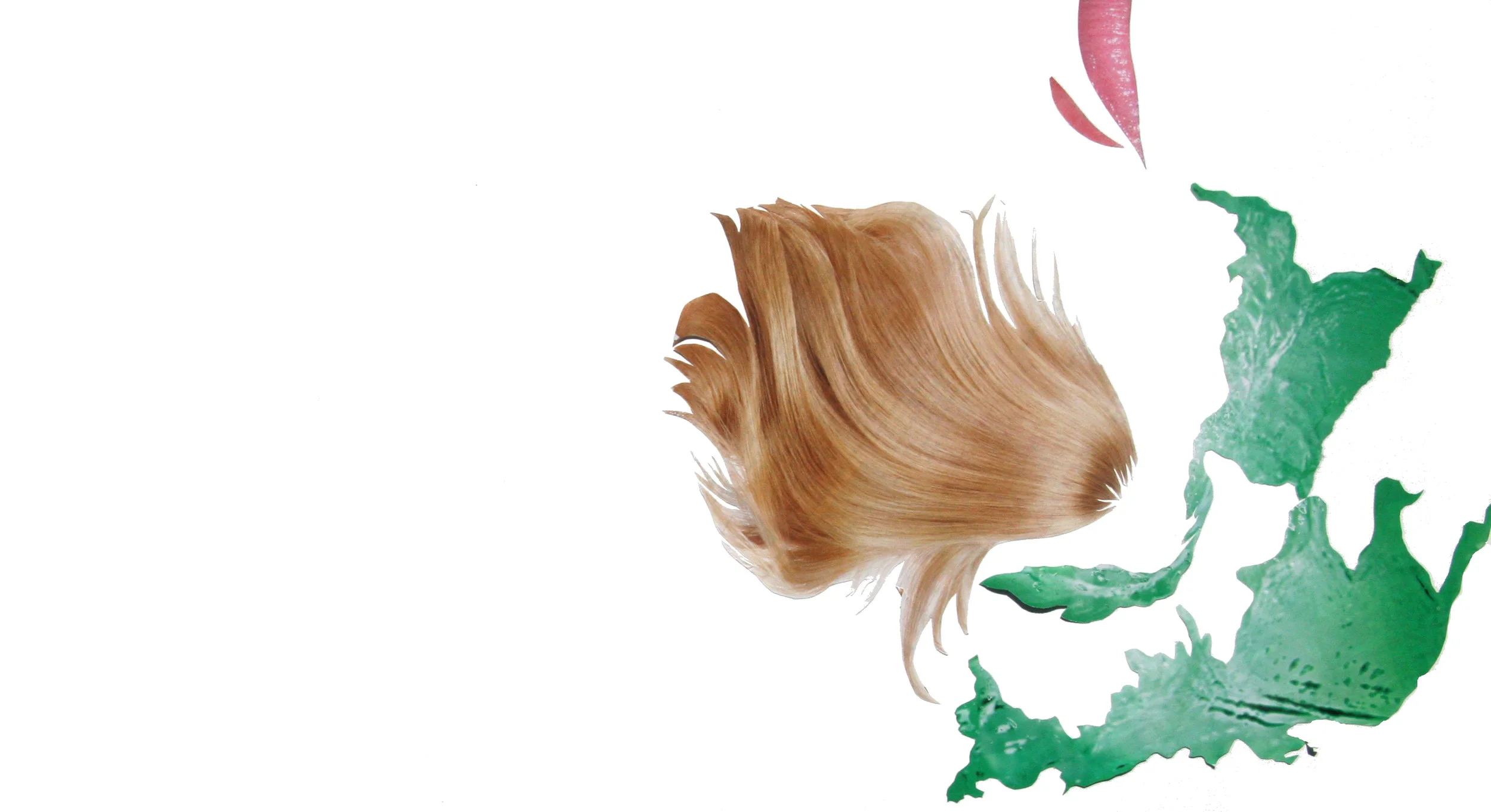 Collage_17.jpg