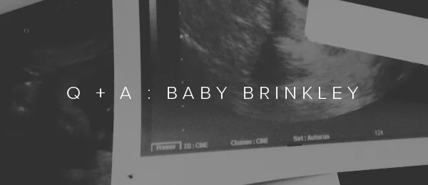 babybrinkley_banner.jpg