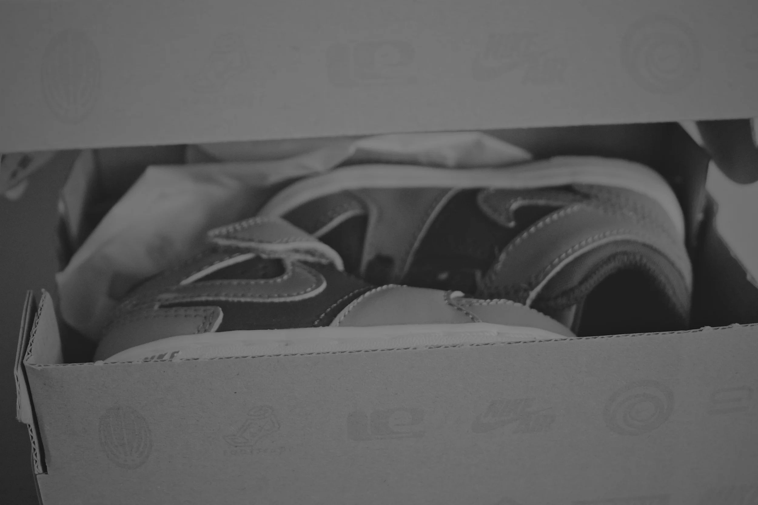 _MG_9154.jpg