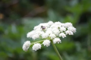 IMG_6400.jpeg