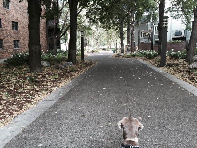 Apartments and offices line this beautiful corridor of peace and tranquility...