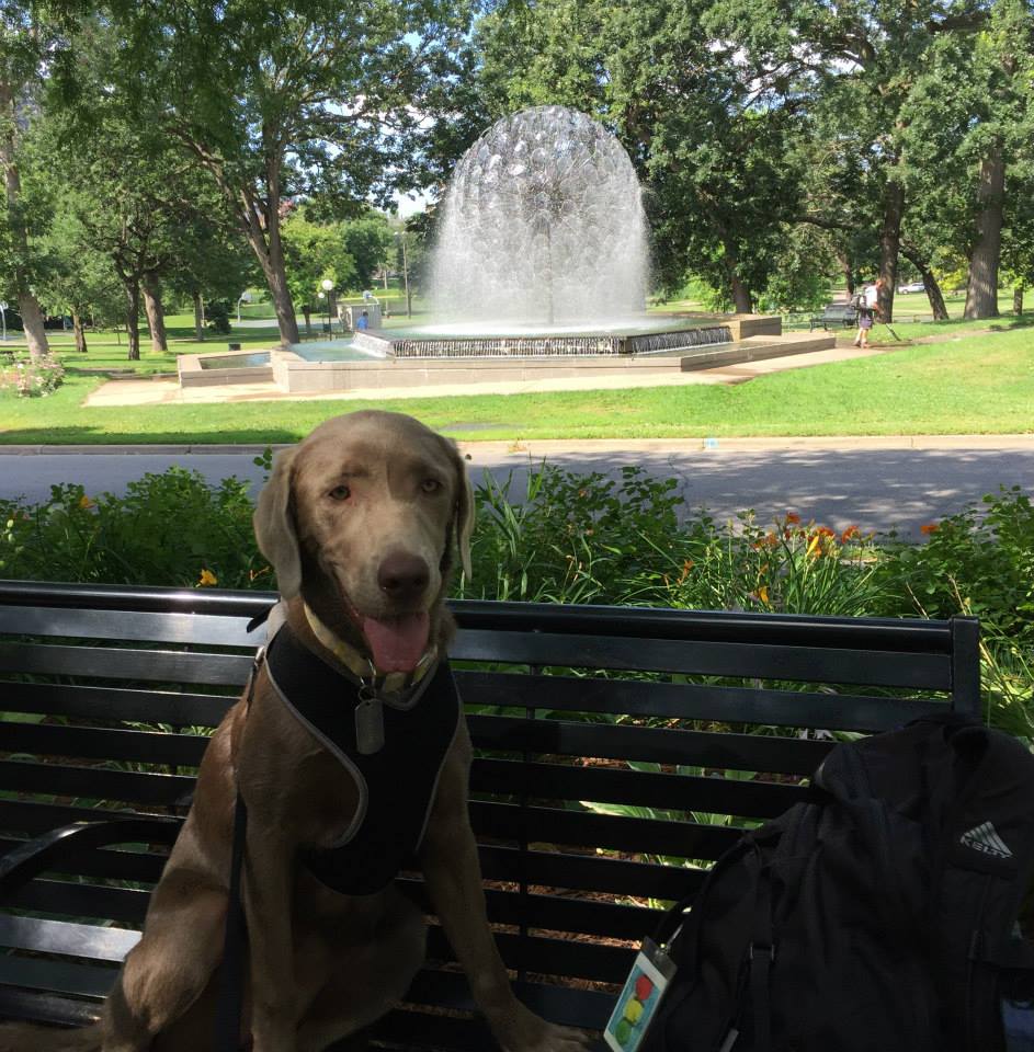   Join us as we stroll through Loring Park – an incredibly beautiful park in the heart of Minneapolis  