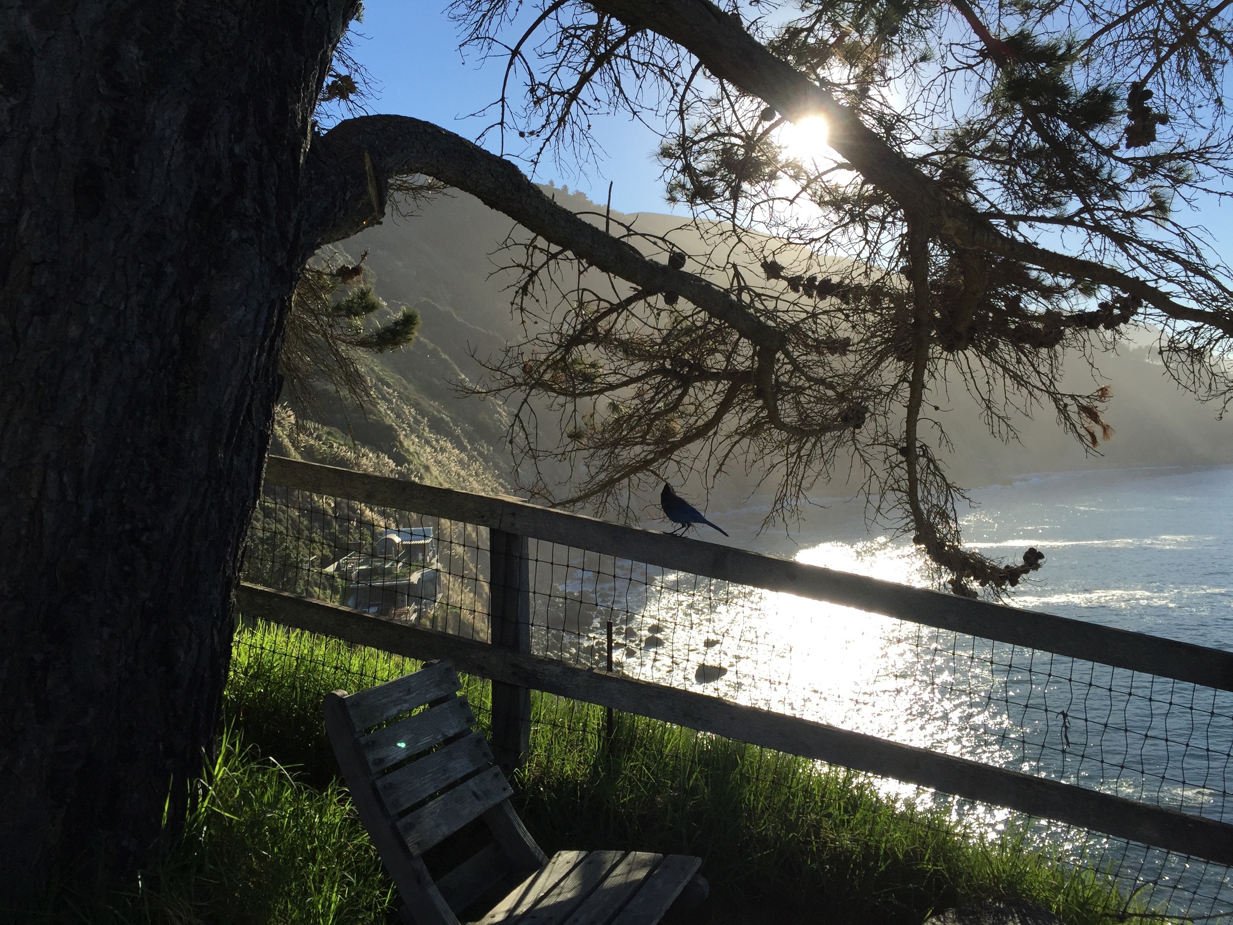 Studying Mindful Self Compassion with Chris Germer and Kristin Neff in Big Sur, CA.