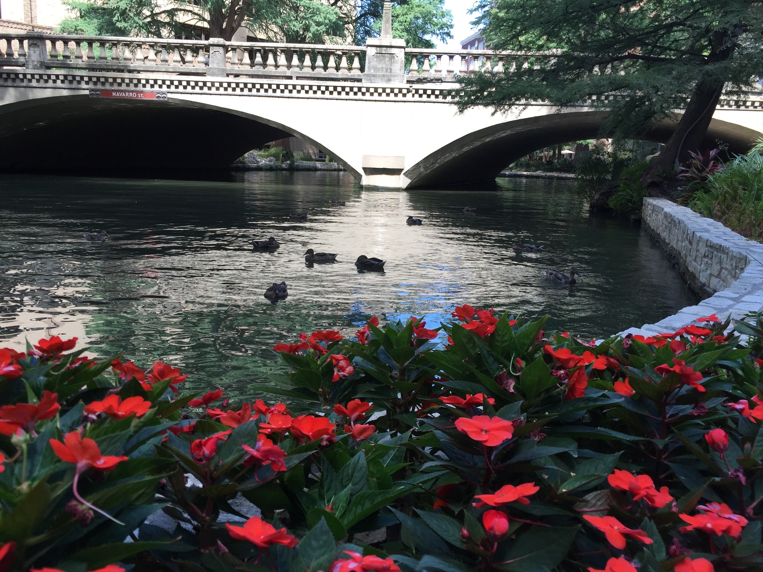 Facilitating Daring Way™ in San Antonio with Dawn Hedgepeth in July