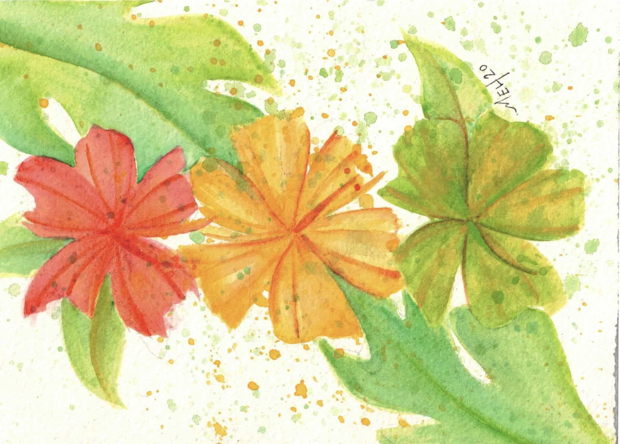 SBB flowers.jpeg