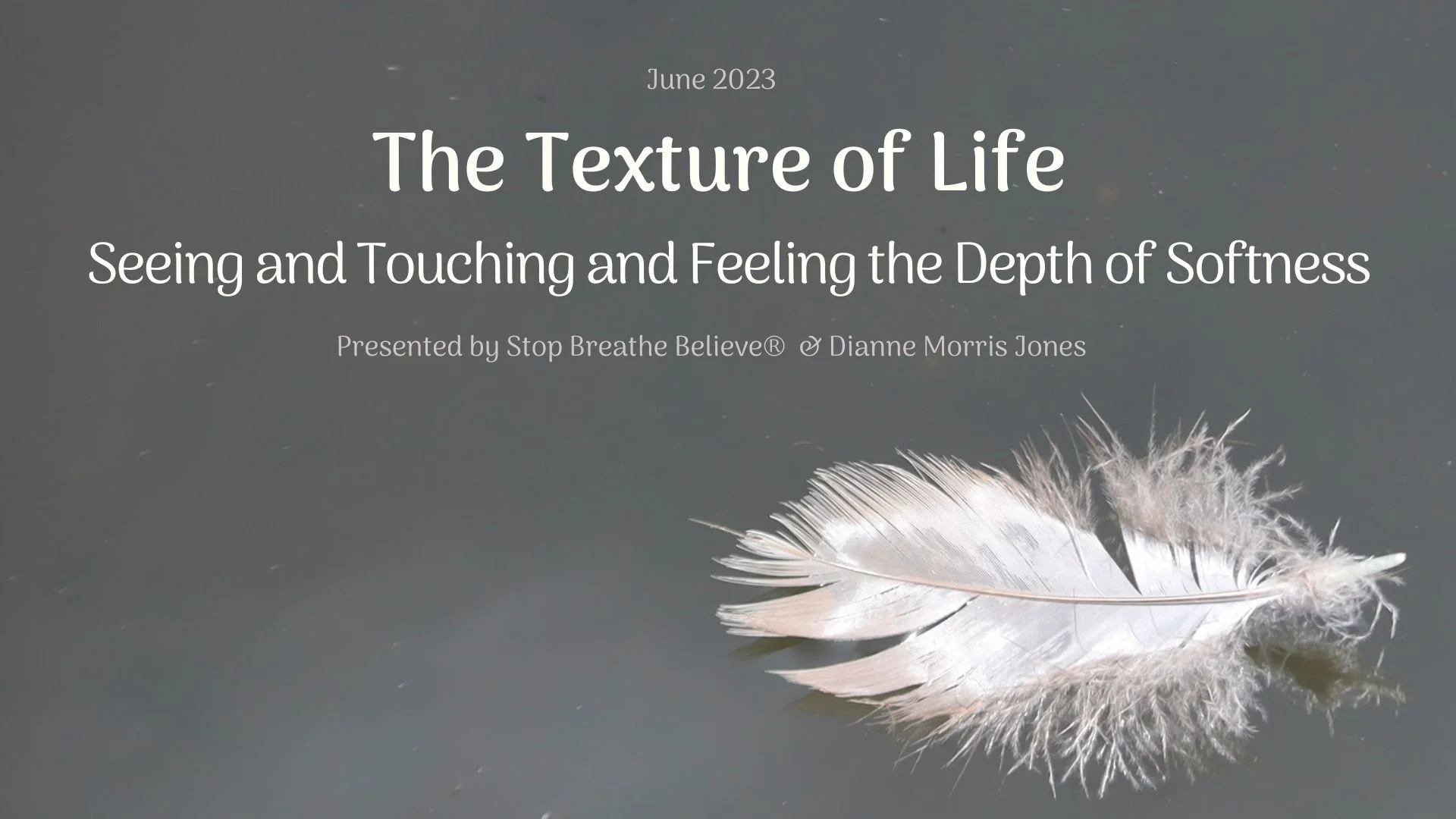 The Texture of Life – Seeing and Touching and Feeling the Depth of ...