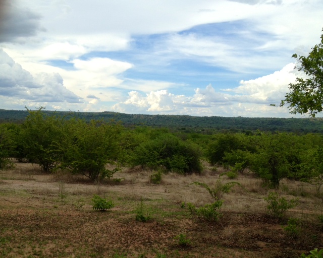 ruaha 3.JPG