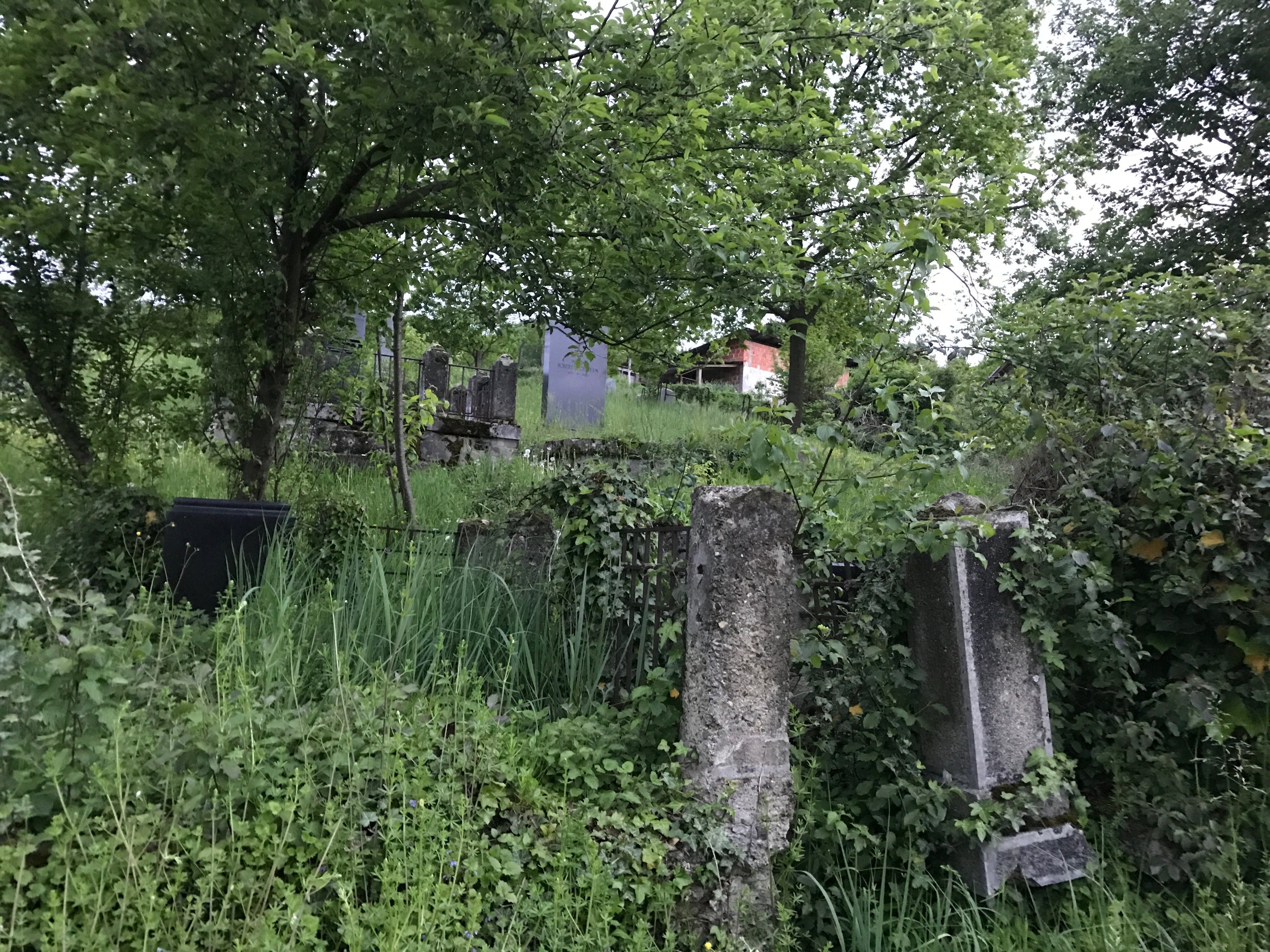 The old Jewish Cemetary. Last internment 1942