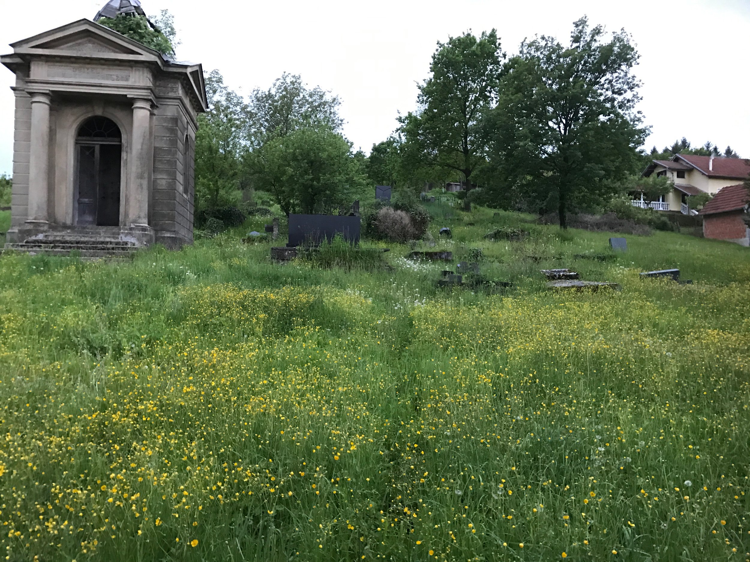 Old Jewish Cemetary - another view. The Jews owned almost all the stores in town before WWII, although they could not live in town. Some people still refer to the Albanian owned cafe as Wechlers.
