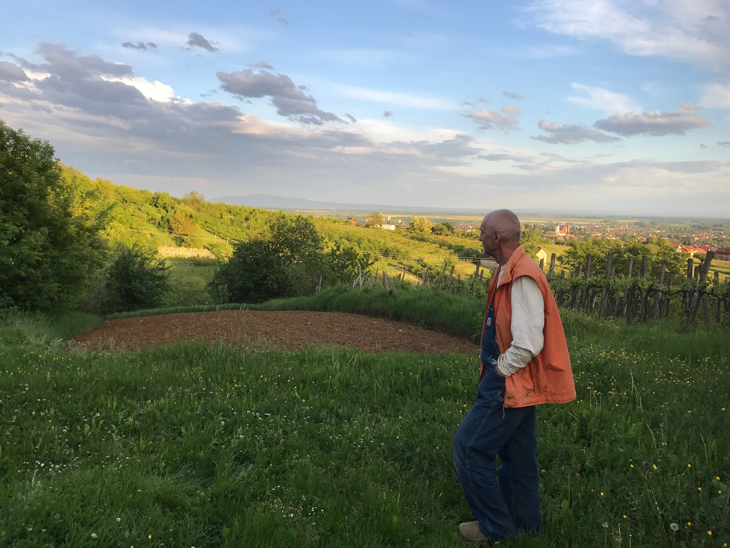 Djordje looking out over Nova Gradiska