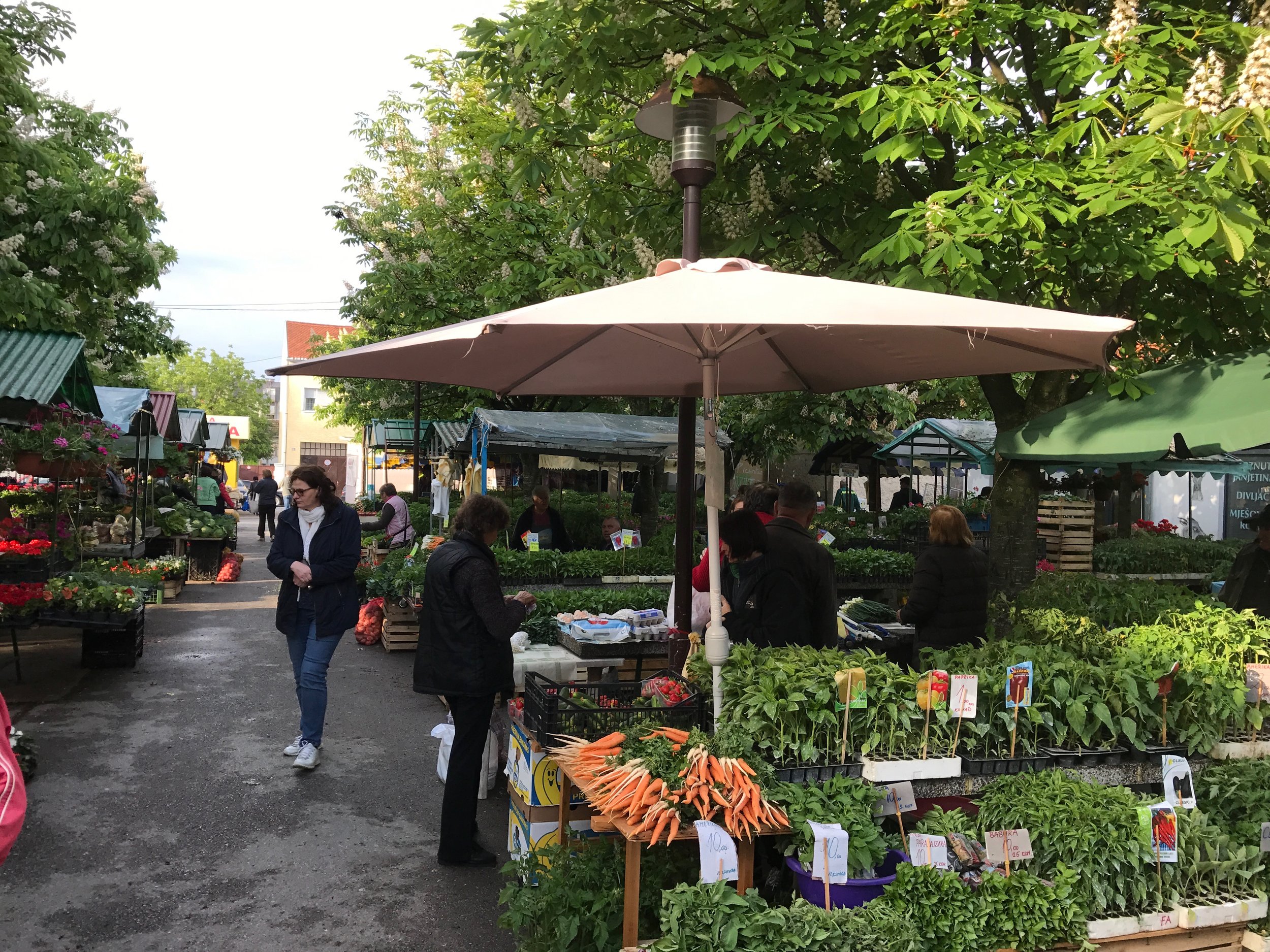 The farmer's market in N. Gradiska