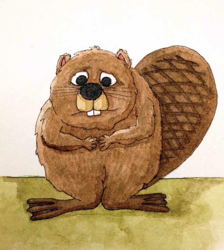 Beaver-918x1024.jpg