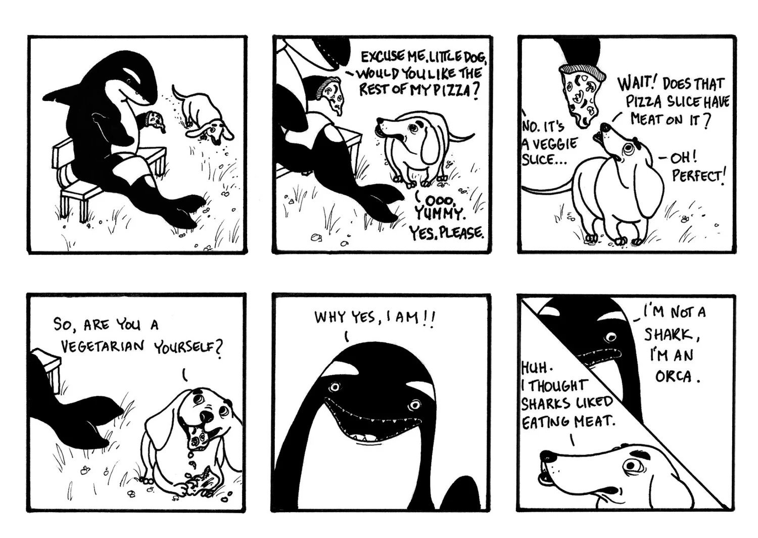 Leroy the not-so-killer whale 2a.jpg