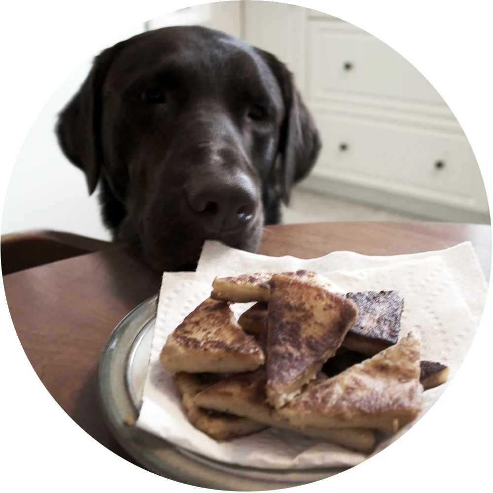 Yes, indeedy, that paper towel looks delicious.