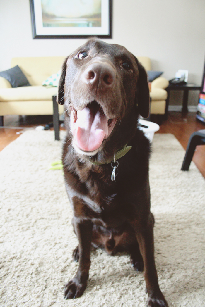 Awww, Finn thinks you look so beautiful today. 