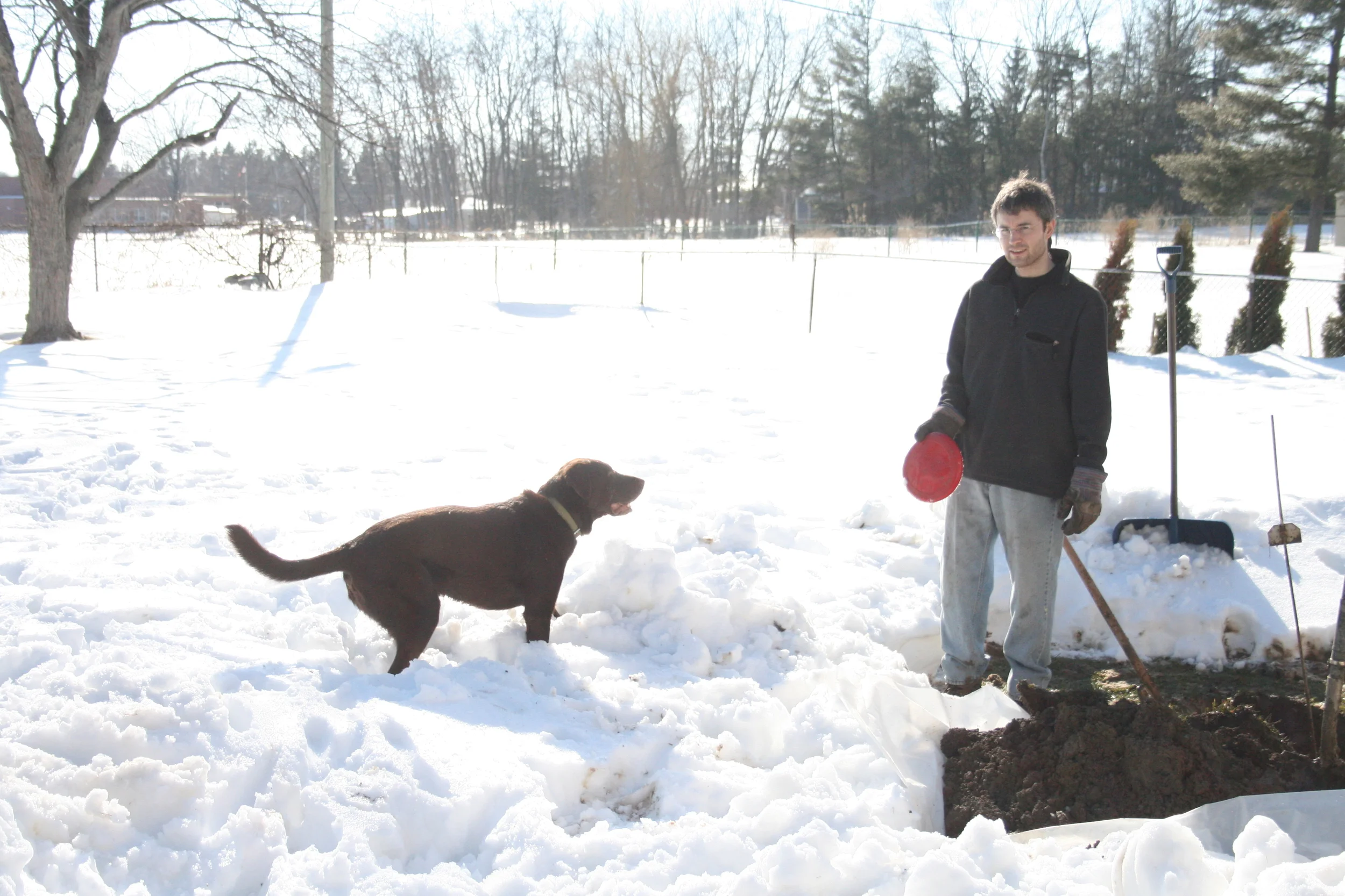 Jay, digging up our septic (and playing with Finn) which stopped working a few days after we brought Molly home... perfect timing, right? 
