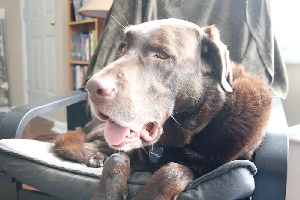What a handsome guy! 