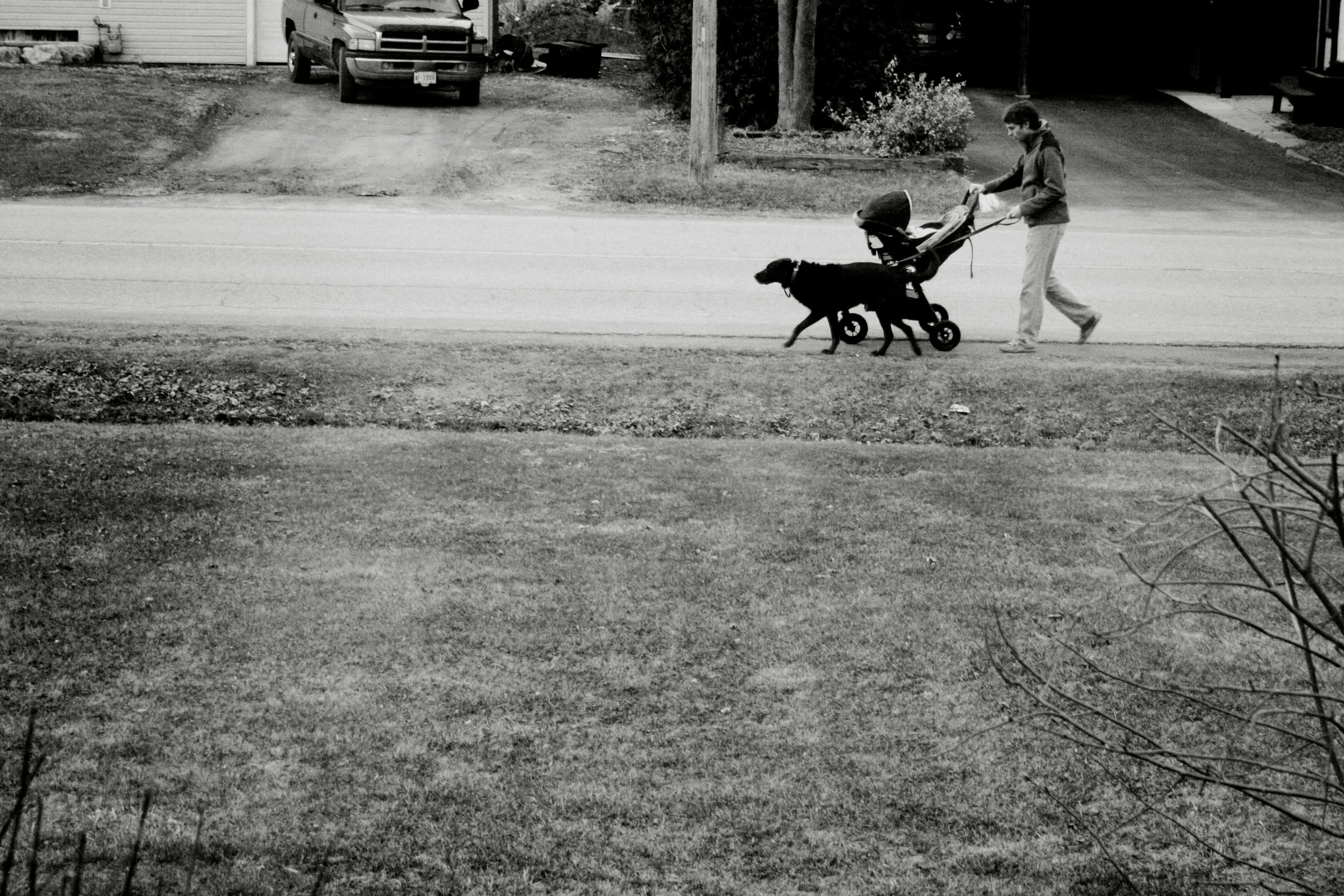 Long country walks - you can only walk four directions from our house so we got reeeaalllllly used to what you are gonna see: you can either walk to the cows/golf course, the park, the horses, or "the trafficky way"