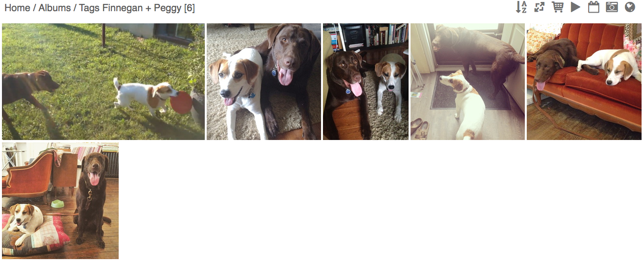 Here is a screenshot of a search for every picture of Finn and his buddy Peggy