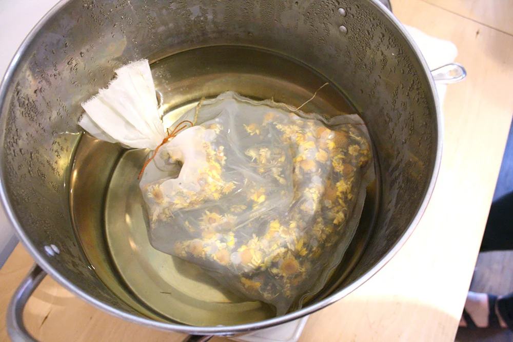 Here is our giant "tea bag" of Dyers Chamomile that Thea grew in her own garden, just added to the pot of water. So pretty, dyeing with flowers!