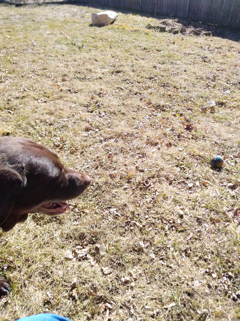 Just gonna smile at my ball. There it is. Ball.