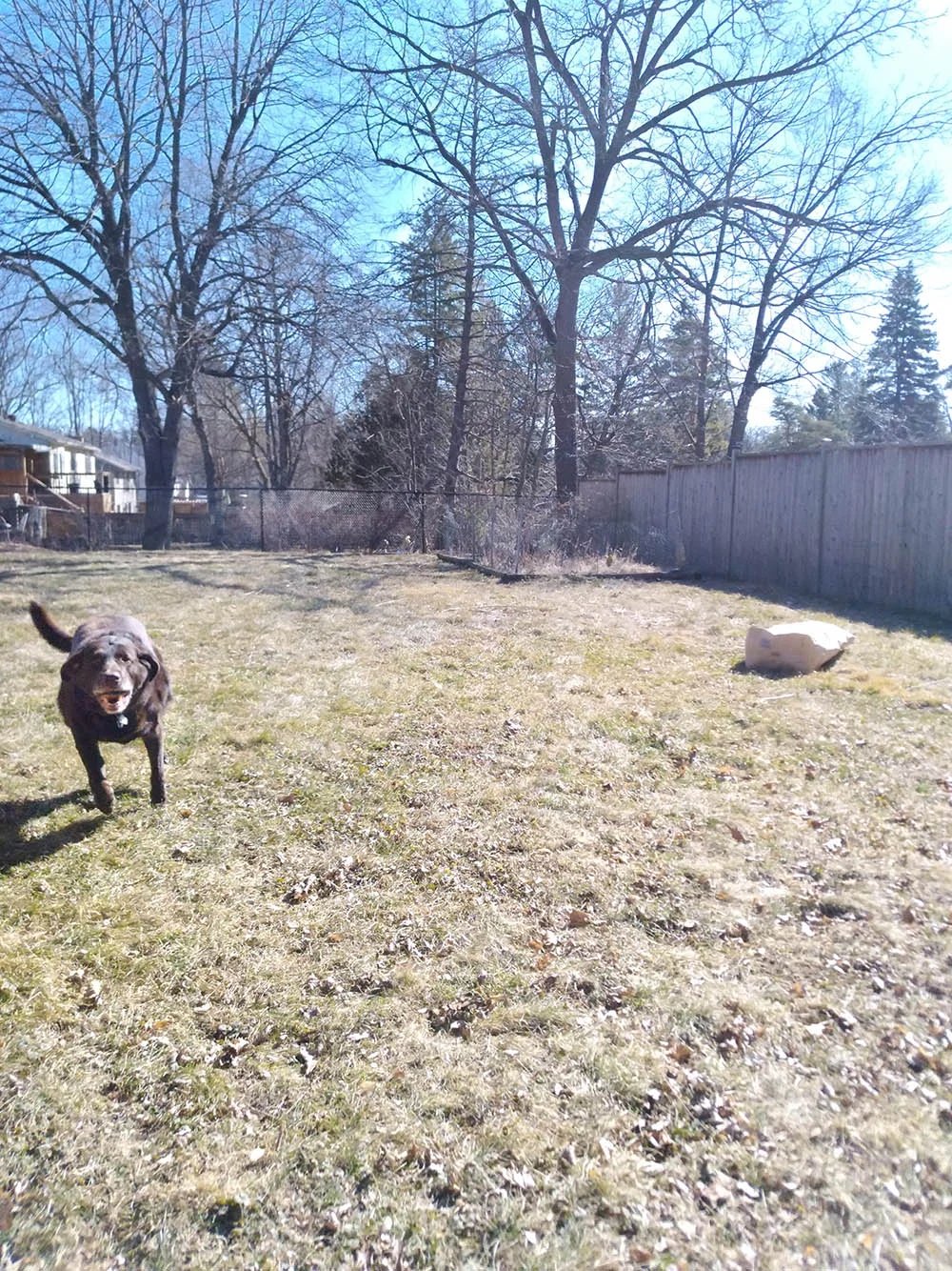 Bringing the ball back. And again. And again.
