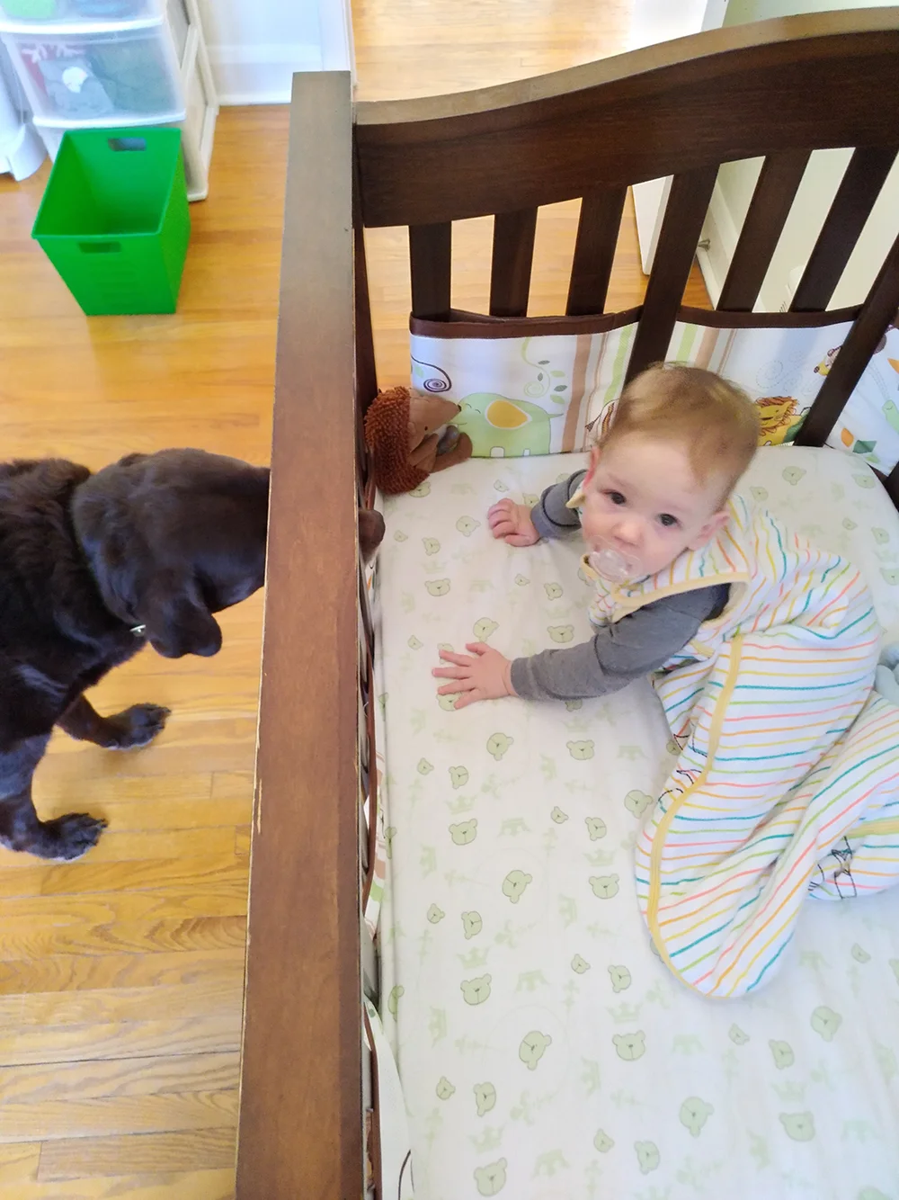 Sleepy baby and curious pup.
