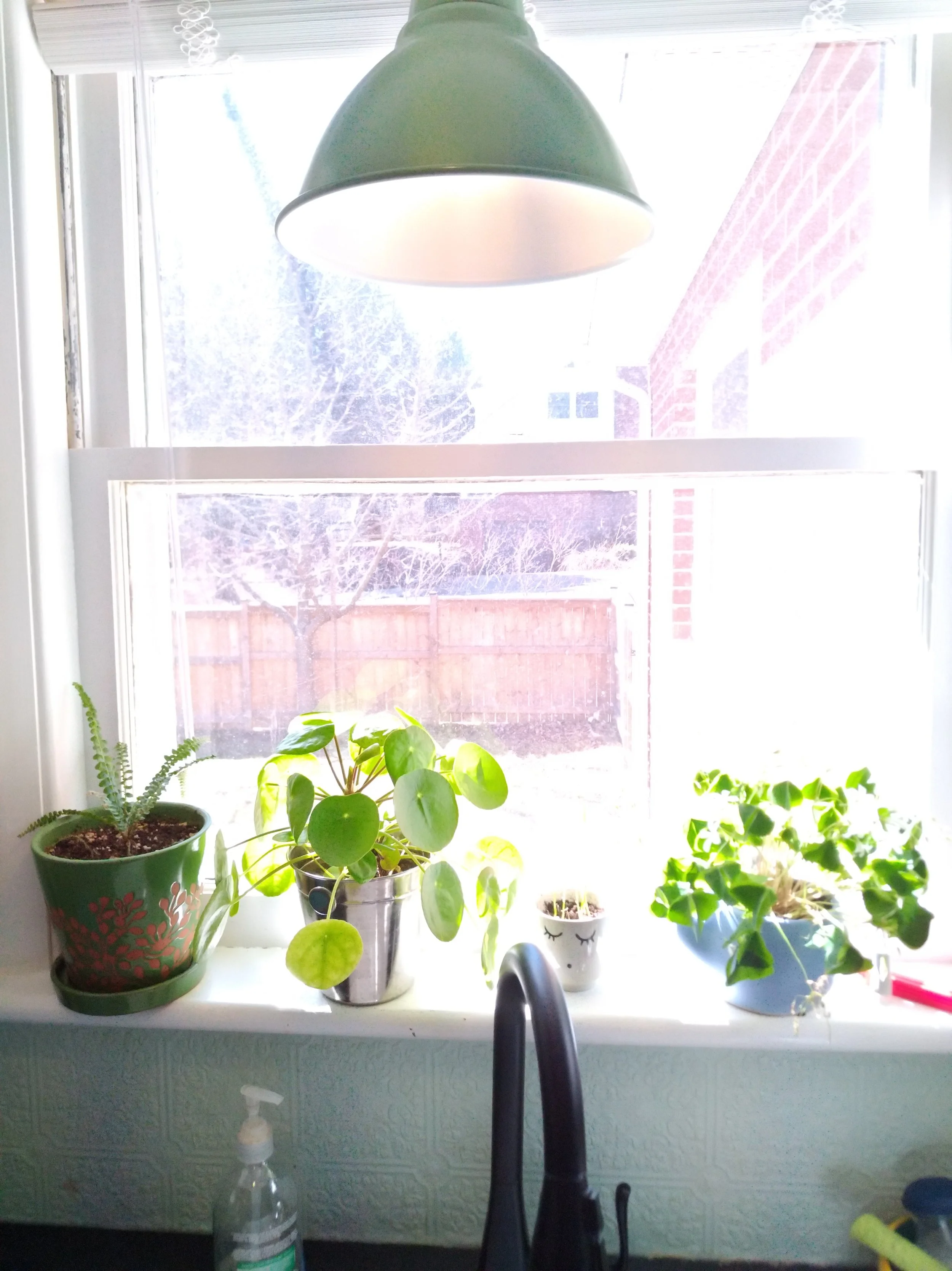 Taking a minute to appreciate how nice and clean my kitchen is and also to drink some water which is very important.