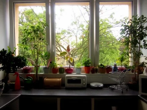 A Much Needed Change of Pace