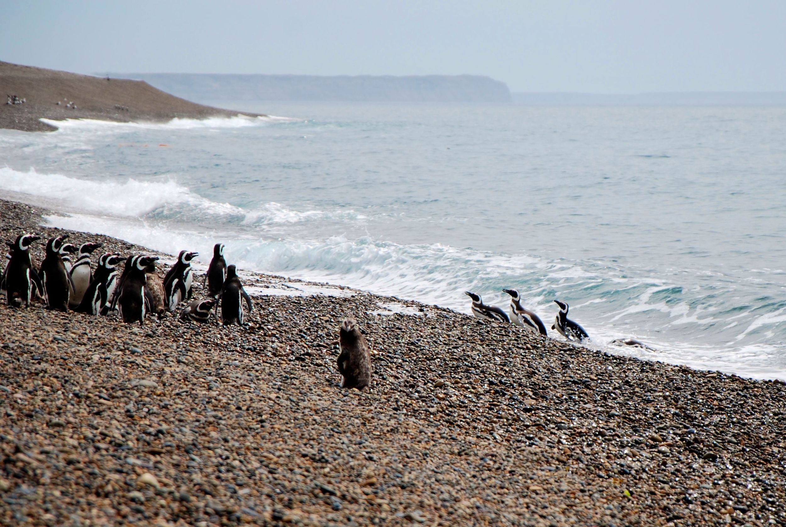 DSC_0727.jpg