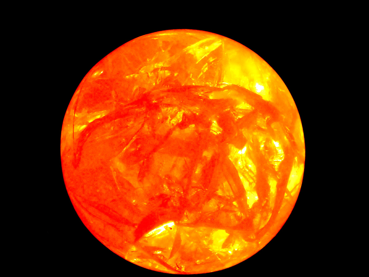 dscf9400.jpg