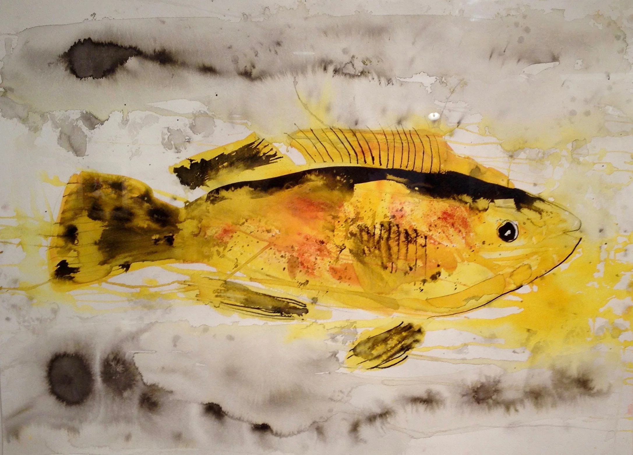 yellow fish in watercolours