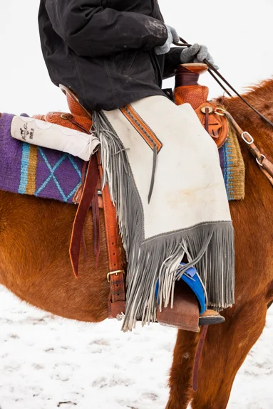 skijoring3.jpg