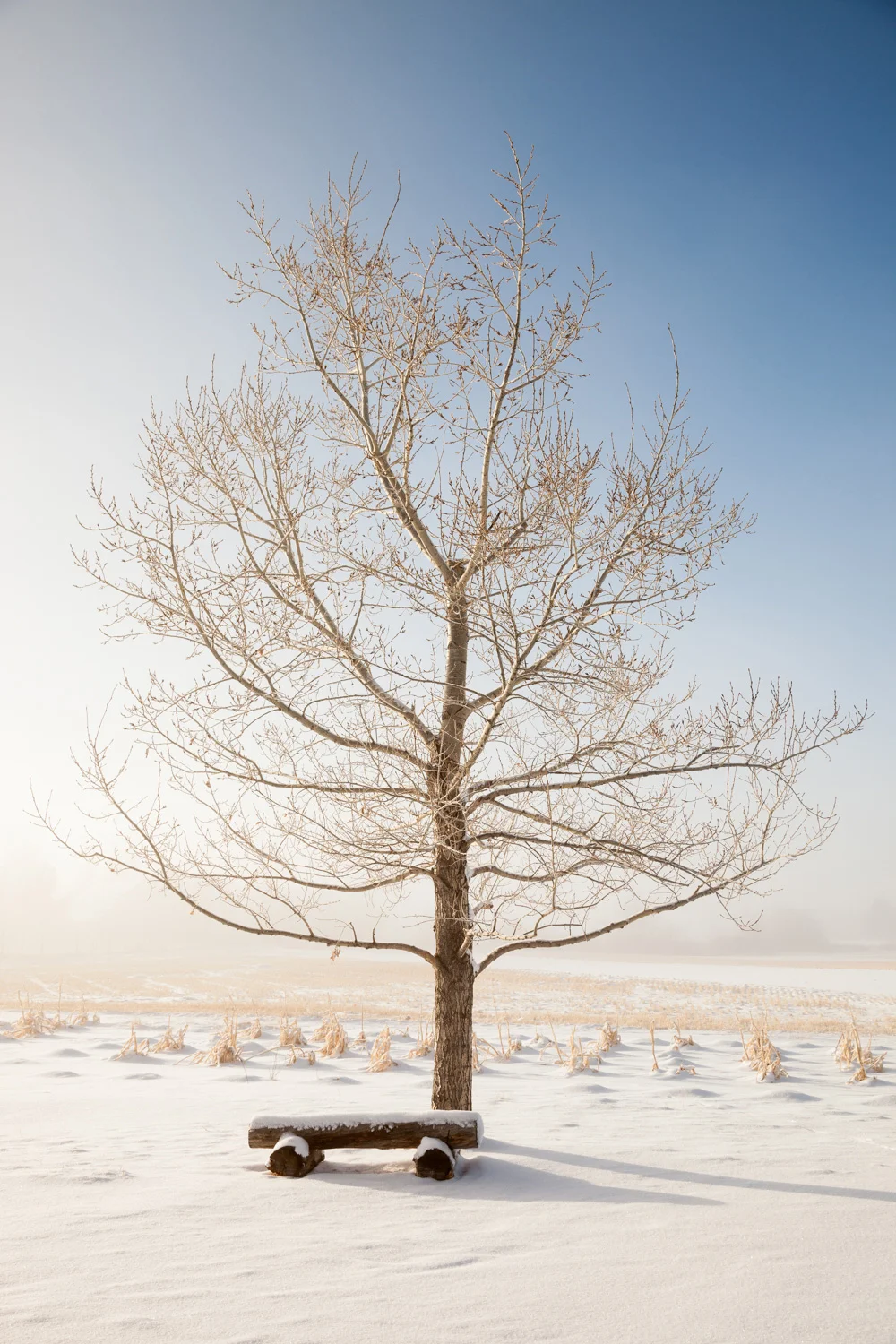 20121209-MOR_winter-IMG_2370-fw.jpg