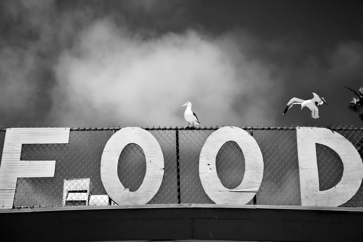 20120618-honeymoon_roadtrip-IMG_9967-fw.jpg