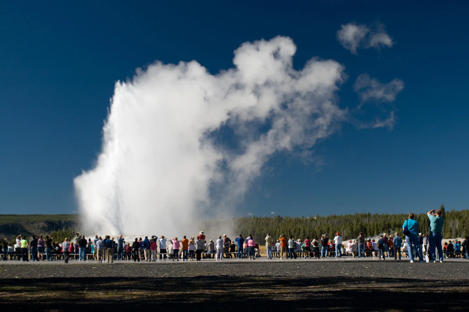 scenics-8760-fw.jpg