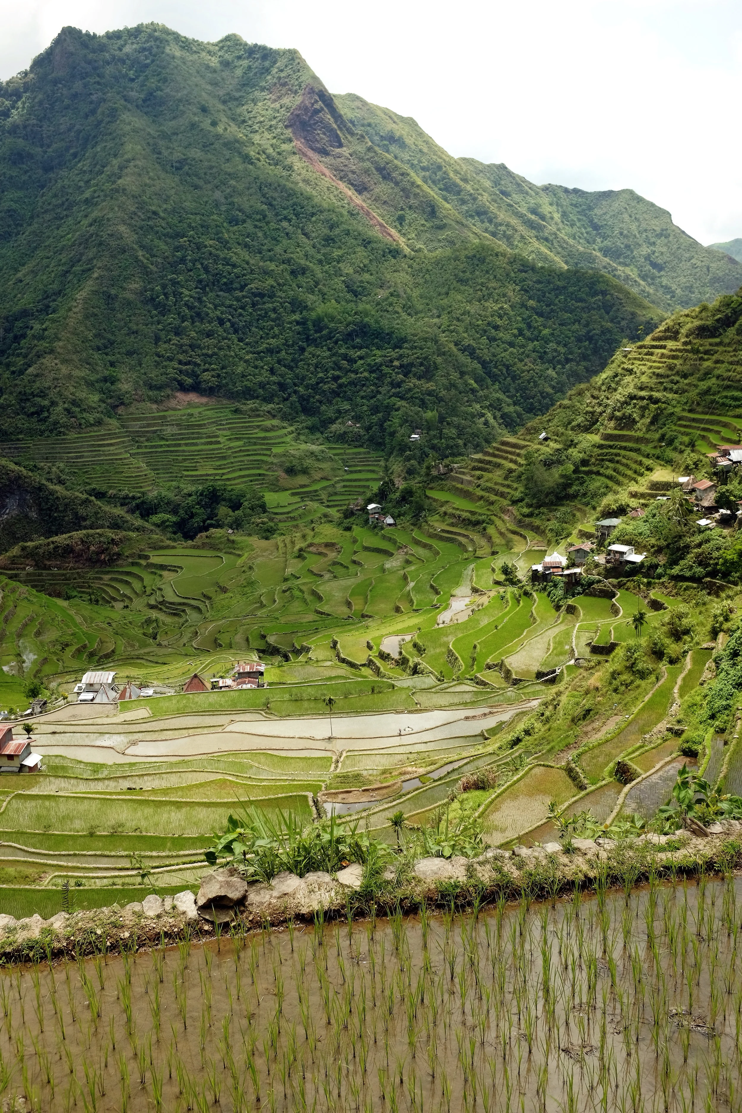 The view as we descended into the Batad rice terraces on our way to Tappia Falls.