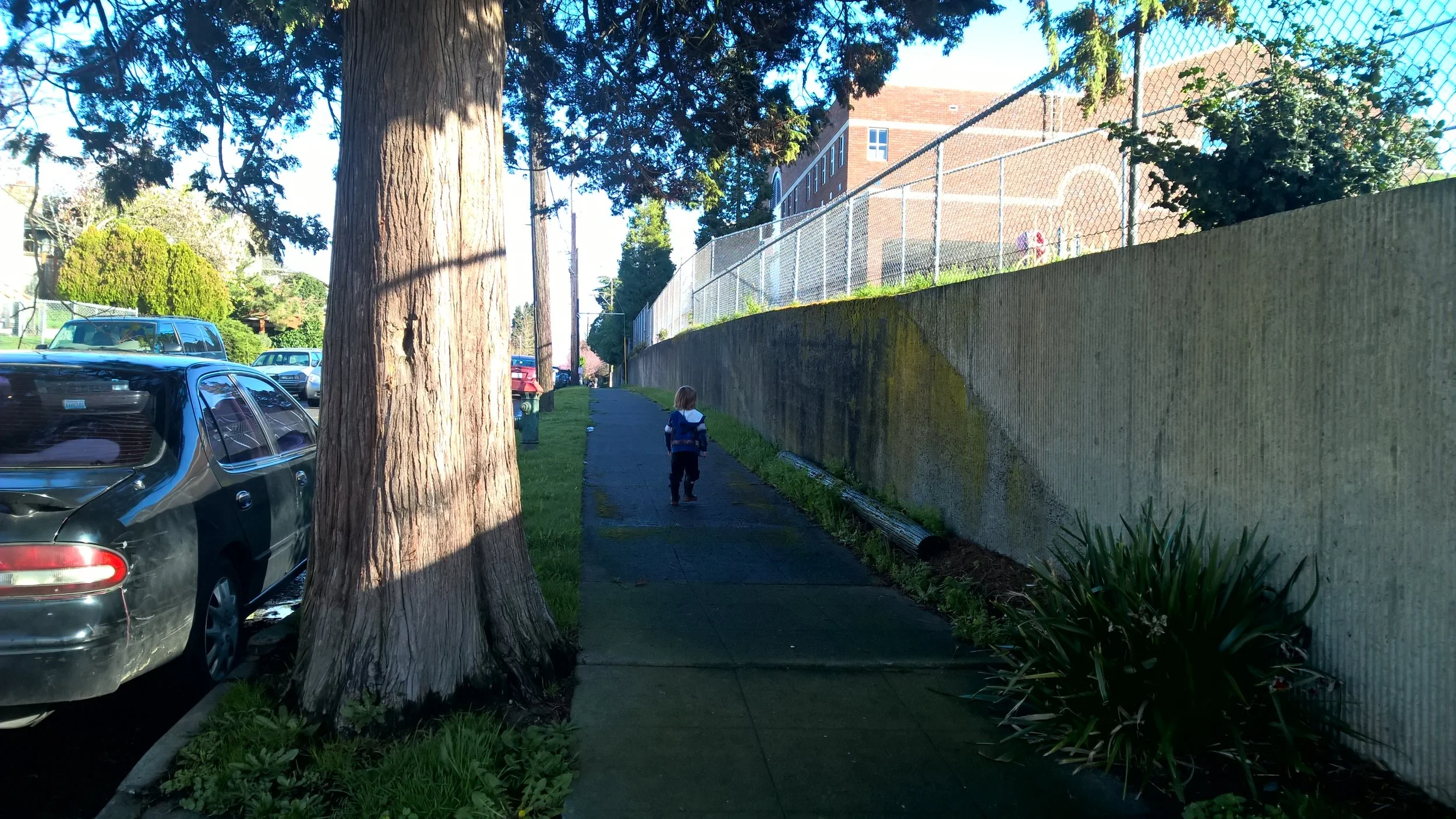 Current West Side of Hawthorne Playground along 39th Ave S = No access