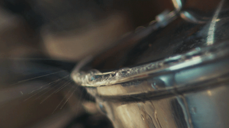 ezgif.com-video-to-gif-converter (49).gif