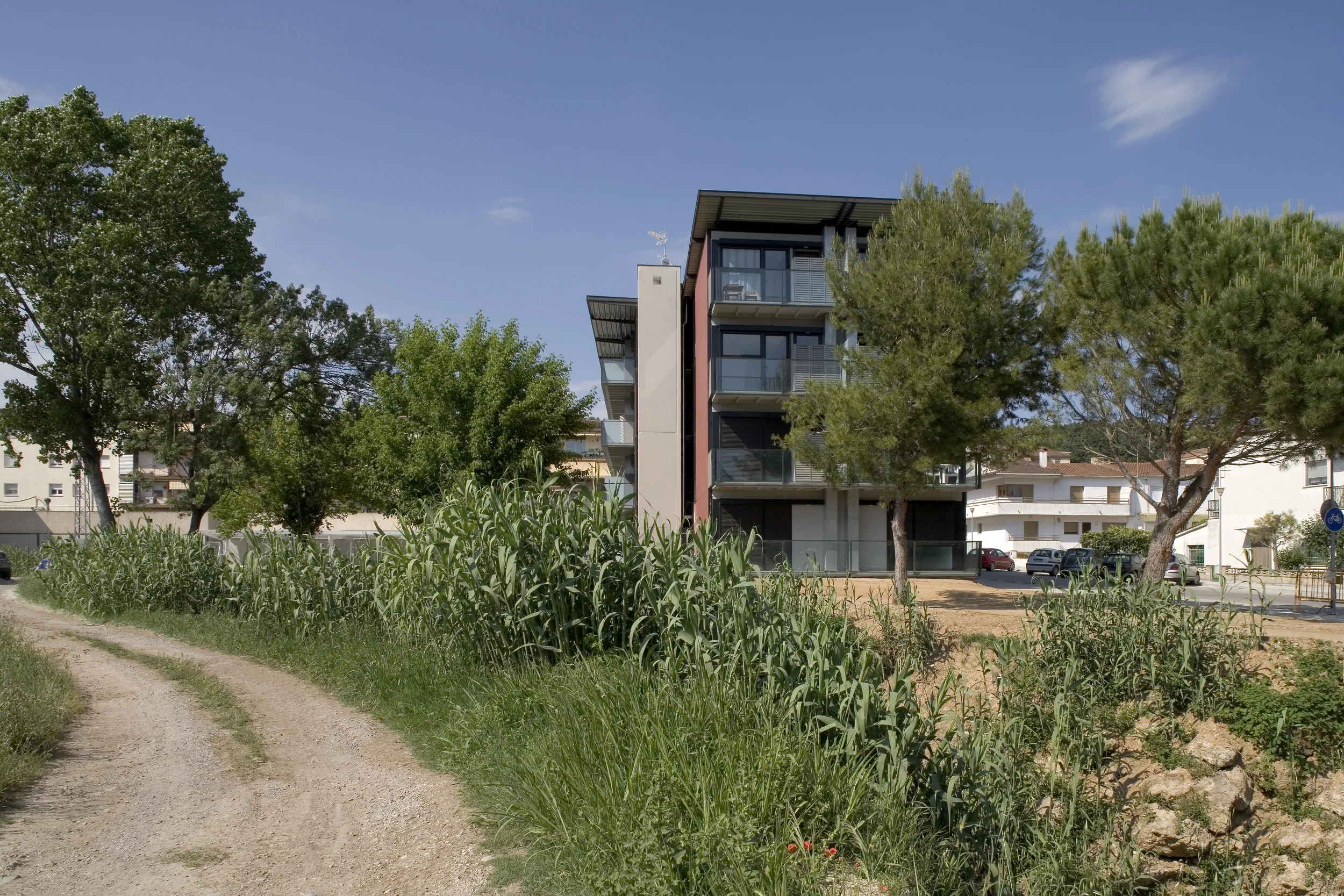 2115 7 copia.jpg