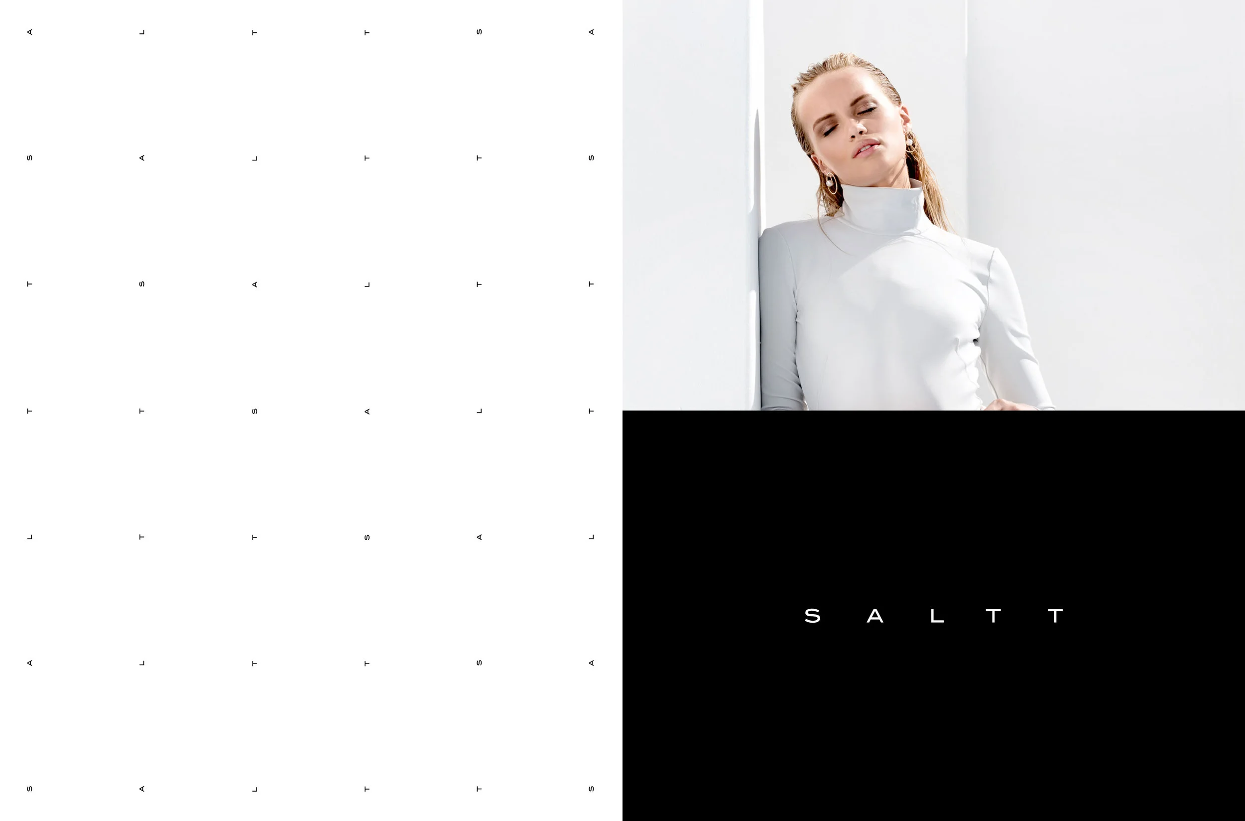 Saltt Portfolio Branding2.jpg
