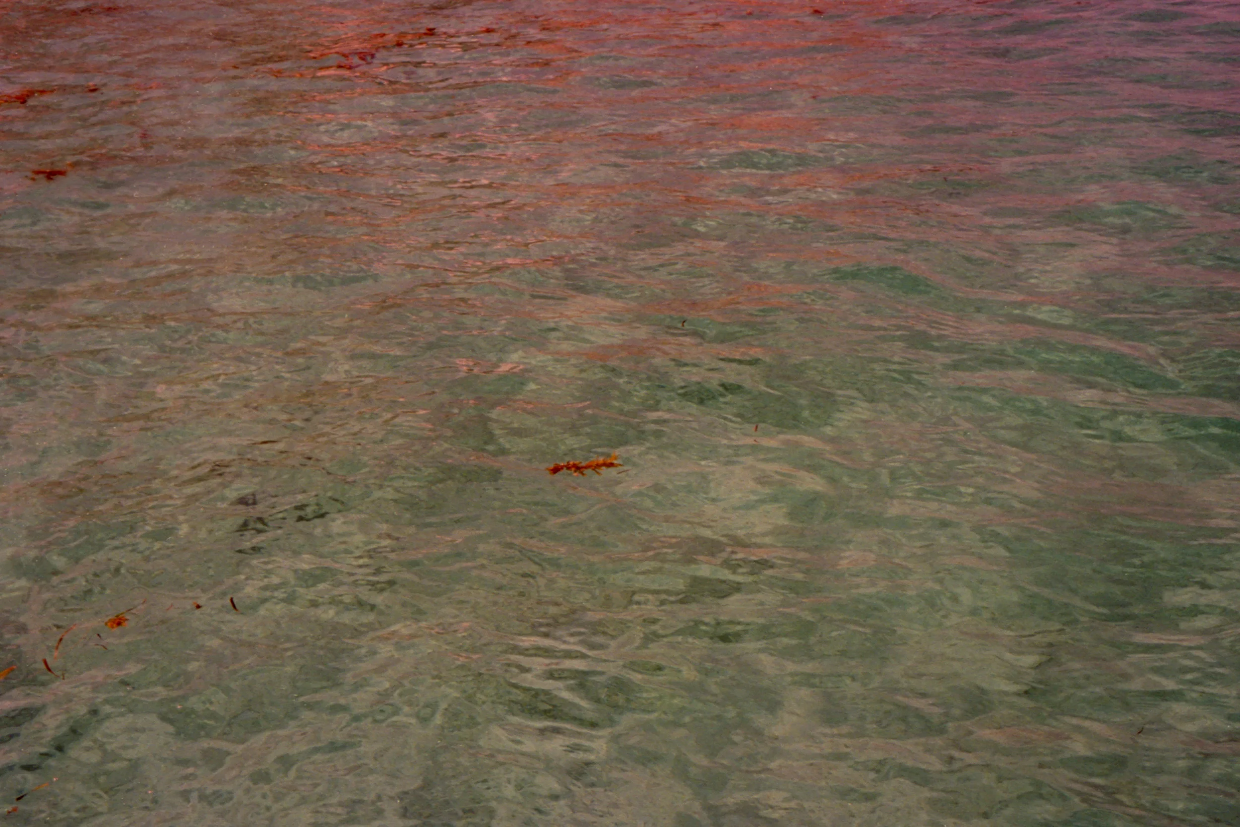 Caribbean Sea