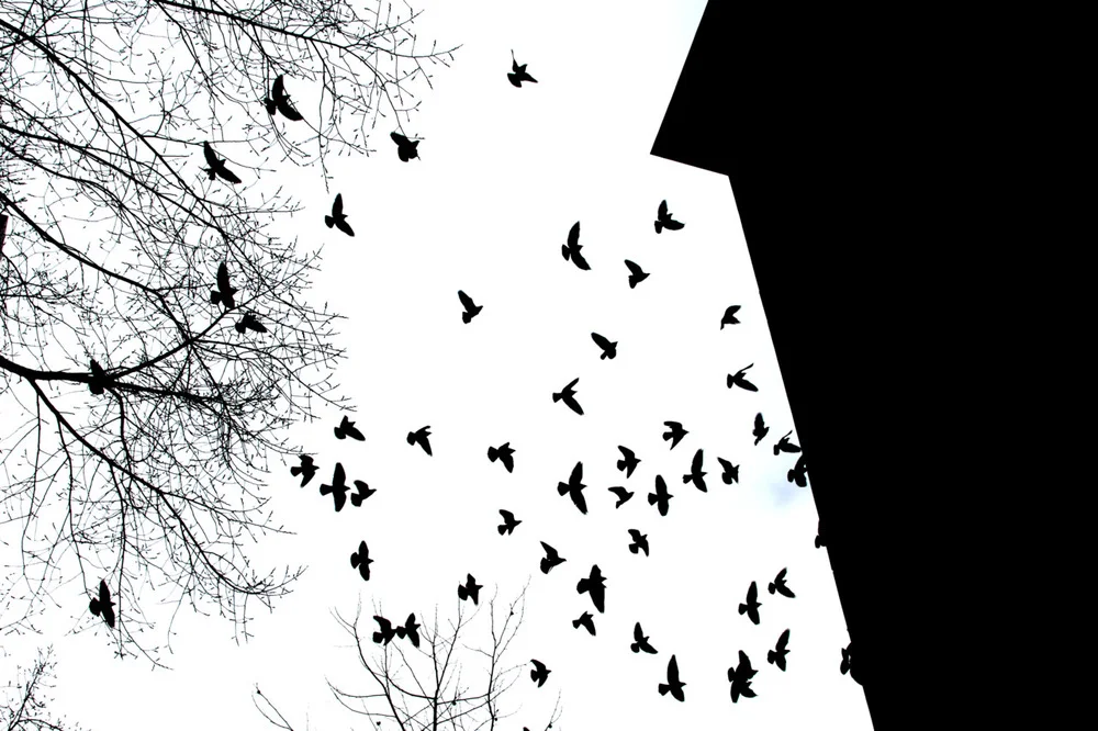tumblr_lz32veccBz1qk3axao1_1280.jpg