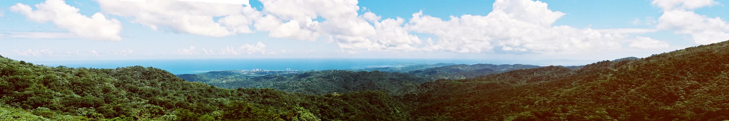 ElYunque_pano.jpg
