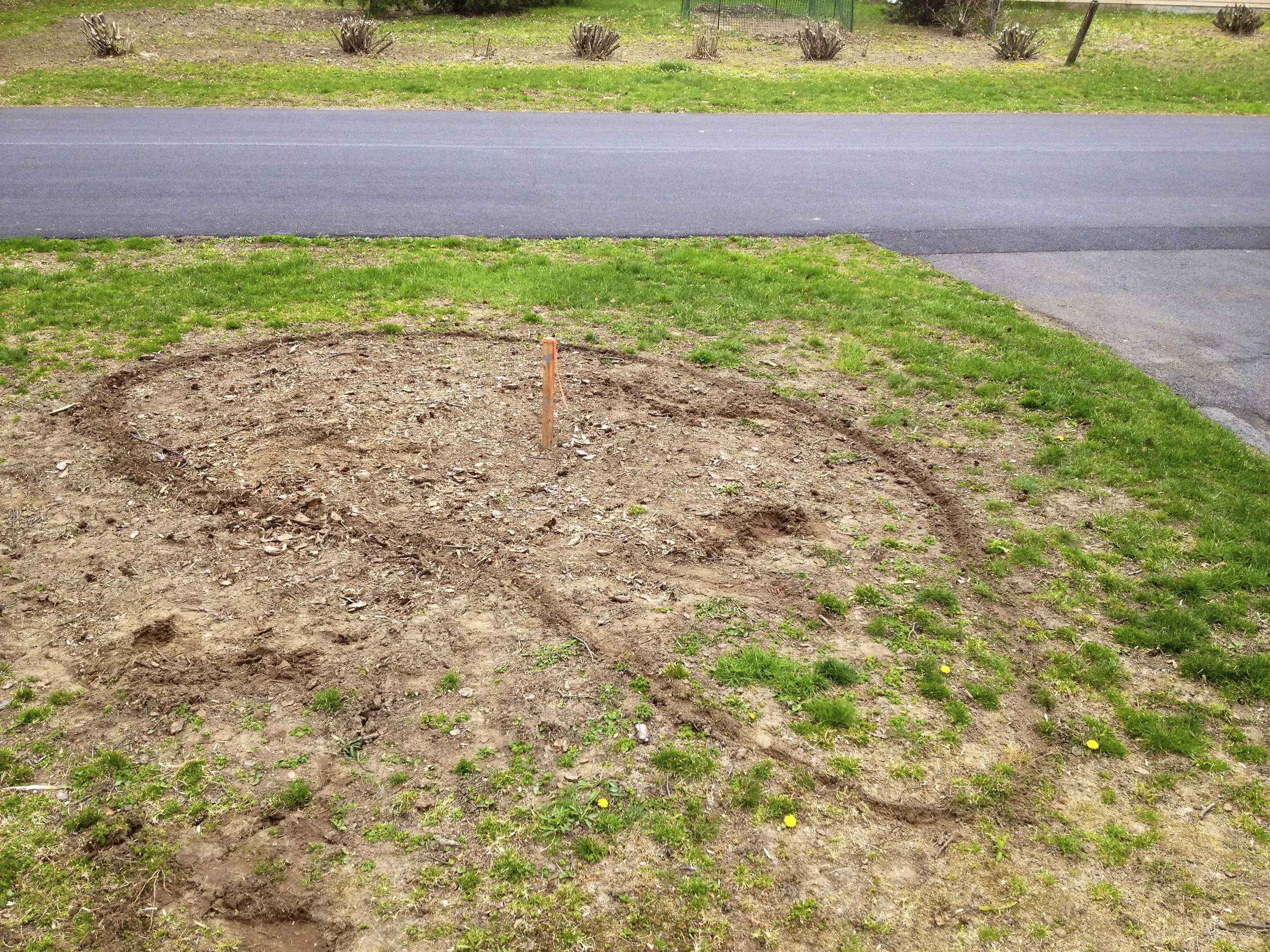 First, we had the pine tree removed, and laid out a rough design for the berm.