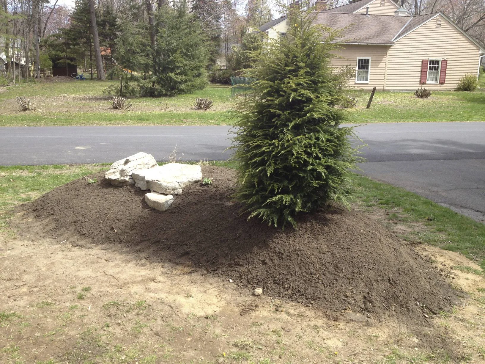 Then, we added a Canadian Hemlock and some stones to form the backbone of the berm.