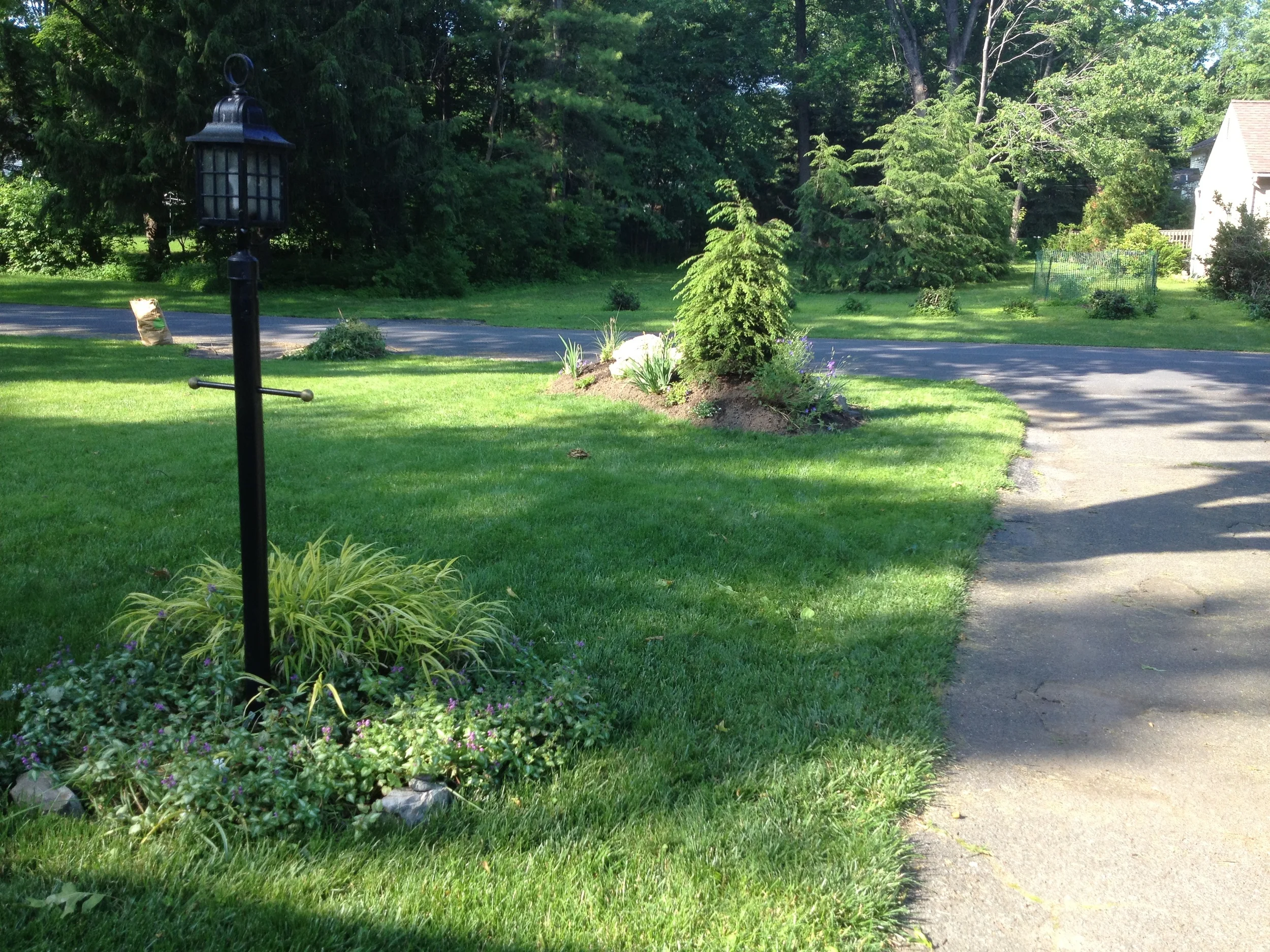 And the berm now fits nicely into the front yard.