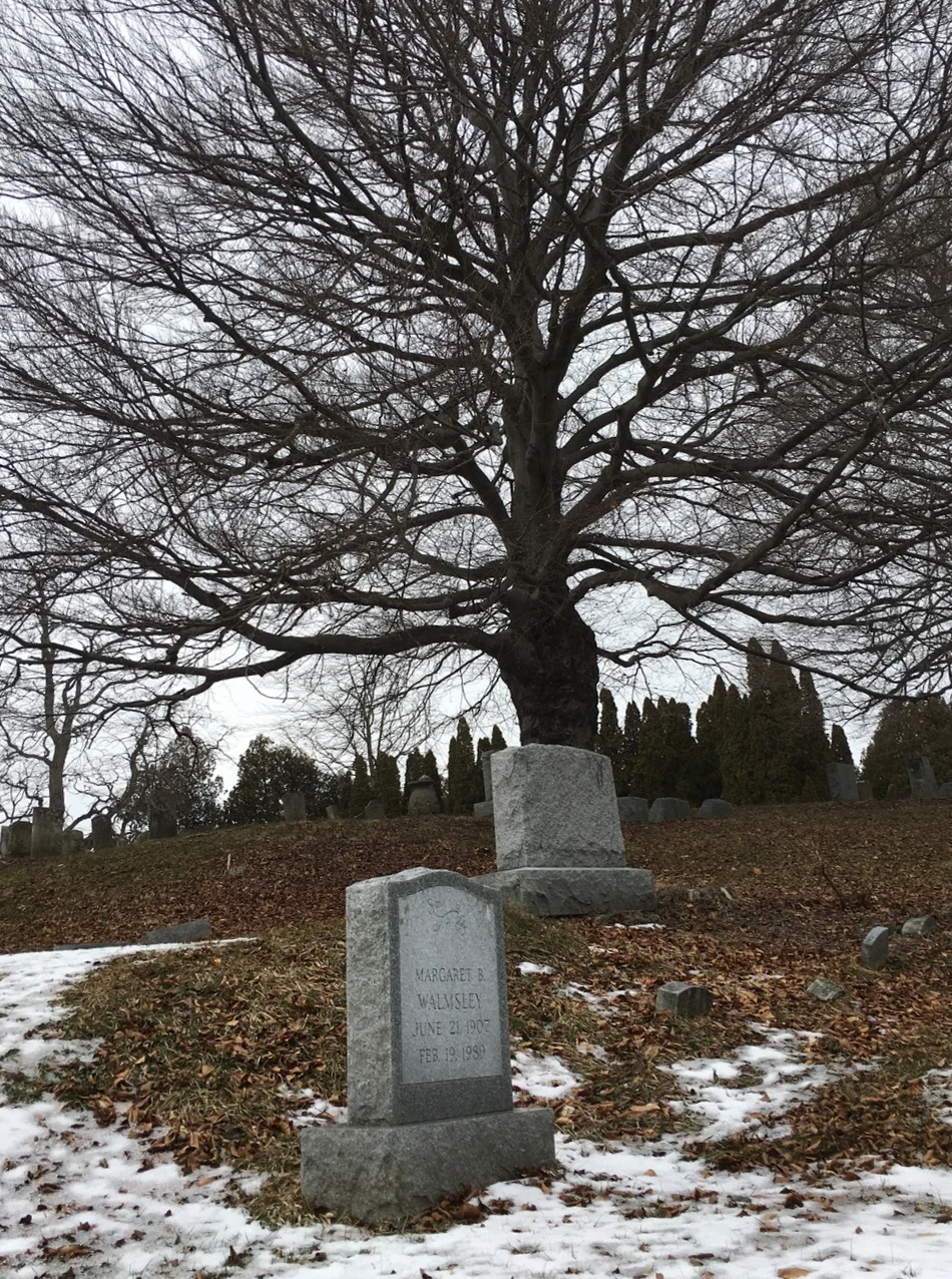 Sweetman Cemetery, Charlton, NY (2/19/15)
